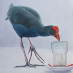 Prelude to Pukeko Picnic