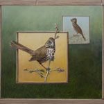 Tending the Nest - Fox Sparrows