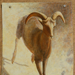 The Great Escape - Bighorn Sheep